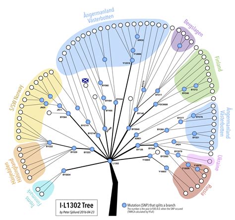 familytreedna|family tree dna founder.